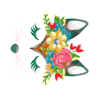 Garden Roses Flowers Garden Roses Flowers