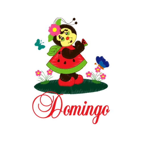 Garden Roses Flowers Garden Roses Flowers