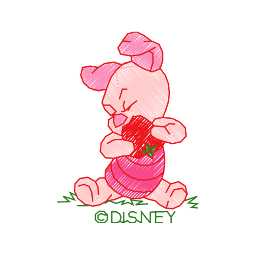 Garden Roses Flowers Garden Roses Flowers