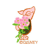 Garden Roses Flowers