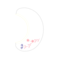 Garden Roses Flowers