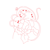 Garden Roses Flowers