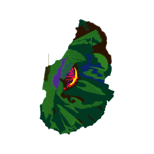 Garden Roses Flowers Garden Roses Flowers