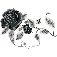 Garden Roses Flowers