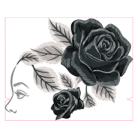 Garden Roses Flowers Garden Roses Flowers