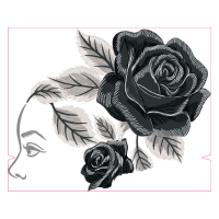 Garden Roses Flowers Garden Roses Flowers