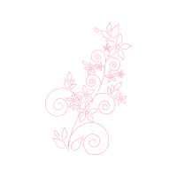 Garden Roses Flowers Garden Roses Flowers