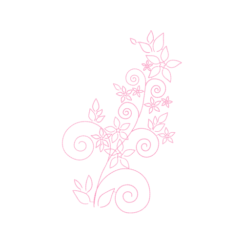 Garden Roses Flowers Garden Roses Flowers