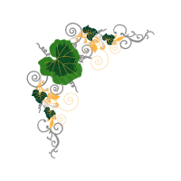 Garden Roses Flowers Garden Roses Flowers