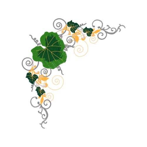 Garden Roses Flowers Garden Roses Flowers