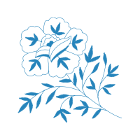 Garden Roses Flowers