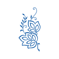 Garden Roses Flowers