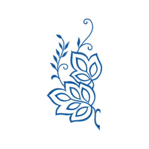 Garden Roses Flowers Garden Roses Flowers