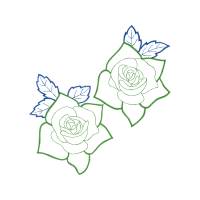 Garden Roses Flowers Garden Roses Flowers