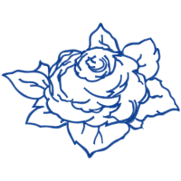 Garden Roses Flowers