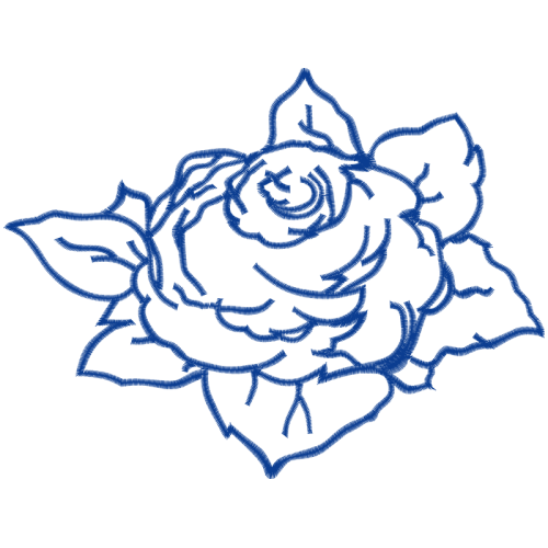 Garden Roses Flowers Garden Roses Flowers