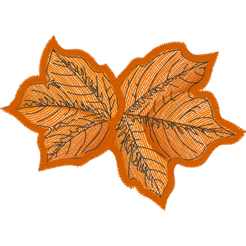 Garden Roses Flowers Garden Roses Flowers