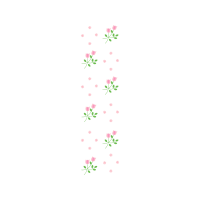 Garden Roses Flowers Garden Roses Flowers