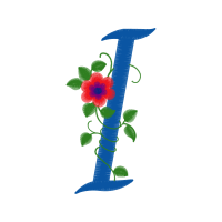 Garden Roses Flowers