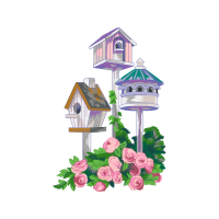 Garden Roses Flowers Garden Roses Flowers