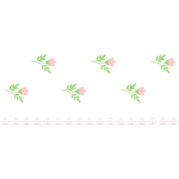 Garden Roses Flowers Garden Roses Flowers