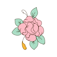 Garden Roses Flowers Garden Roses Flowers