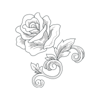 Garden Roses Flowers