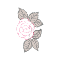 Garden Roses Flowers Garden Roses Flowers