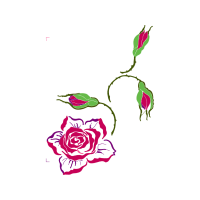 Garden Roses Flowers