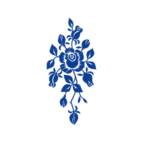 Garden Roses Flowers Garden Roses Flowers