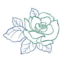 Garden Roses Flowers Garden Roses Flowers