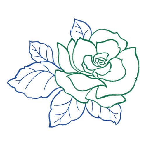 Garden Roses Flowers Garden Roses Flowers