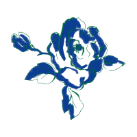 Garden Roses Flowers Garden Roses Flowers