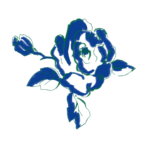 Garden Roses Flowers Garden Roses Flowers