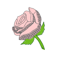 Garden Roses Flowers