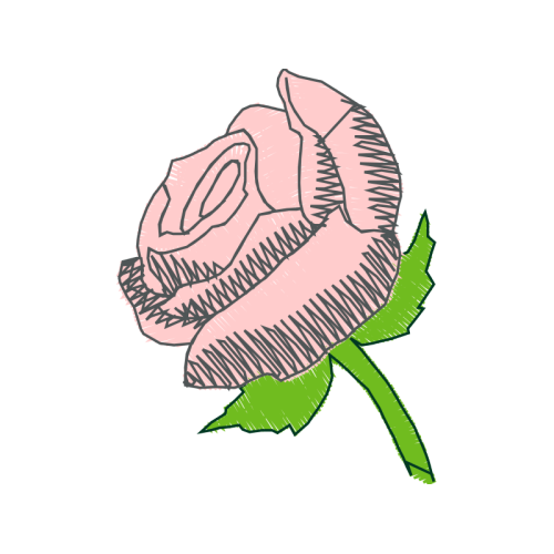 Garden Roses Flowers Garden Roses Flowers