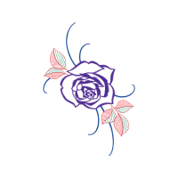 Garden Roses Flowers Garden Roses Flowers