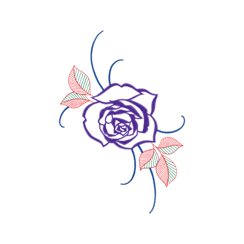 Garden Roses Flowers Garden Roses Flowers