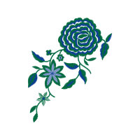 Garden Roses Flowers