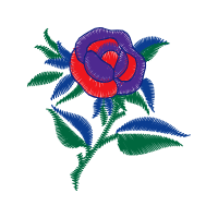 Garden Roses Flowers