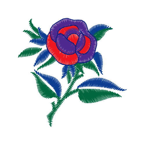 Garden Roses Flowers Garden Roses Flowers