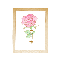 Garden Roses Flowers