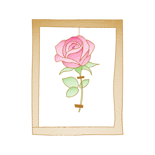 Garden Roses Flowers Garden Roses Flowers