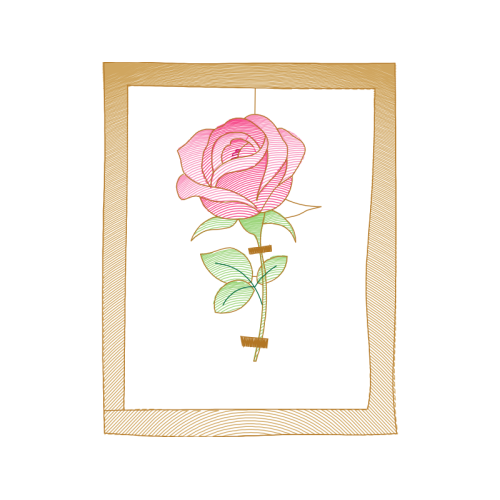 Garden Roses Flowers Garden Roses Flowers