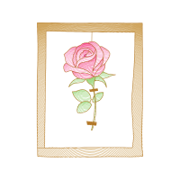 Garden Roses Flowers