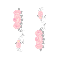 Garden Roses Flowers