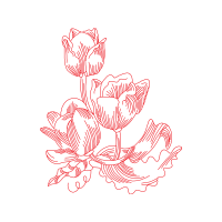 Garden Roses Flowers