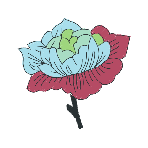 Garden Roses Flowers Garden Roses Flowers