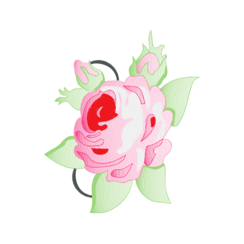 Garden Roses Flowers Garden Roses Flowers