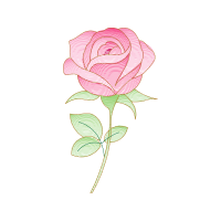 Garden Roses Flowers Garden Roses Flowers